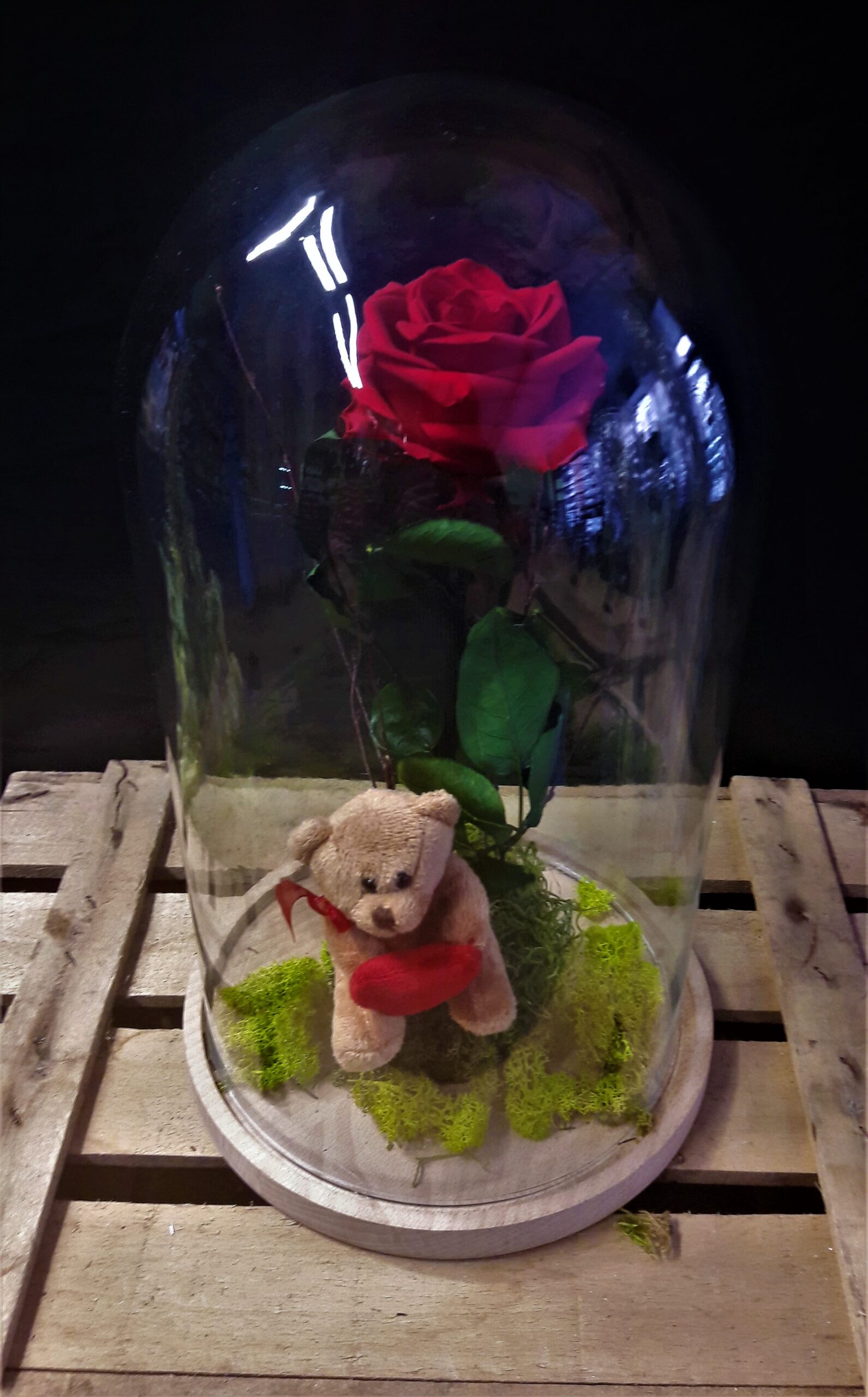 Cúpula de Cristal Grande con Rosa Preservada - Eva Flor