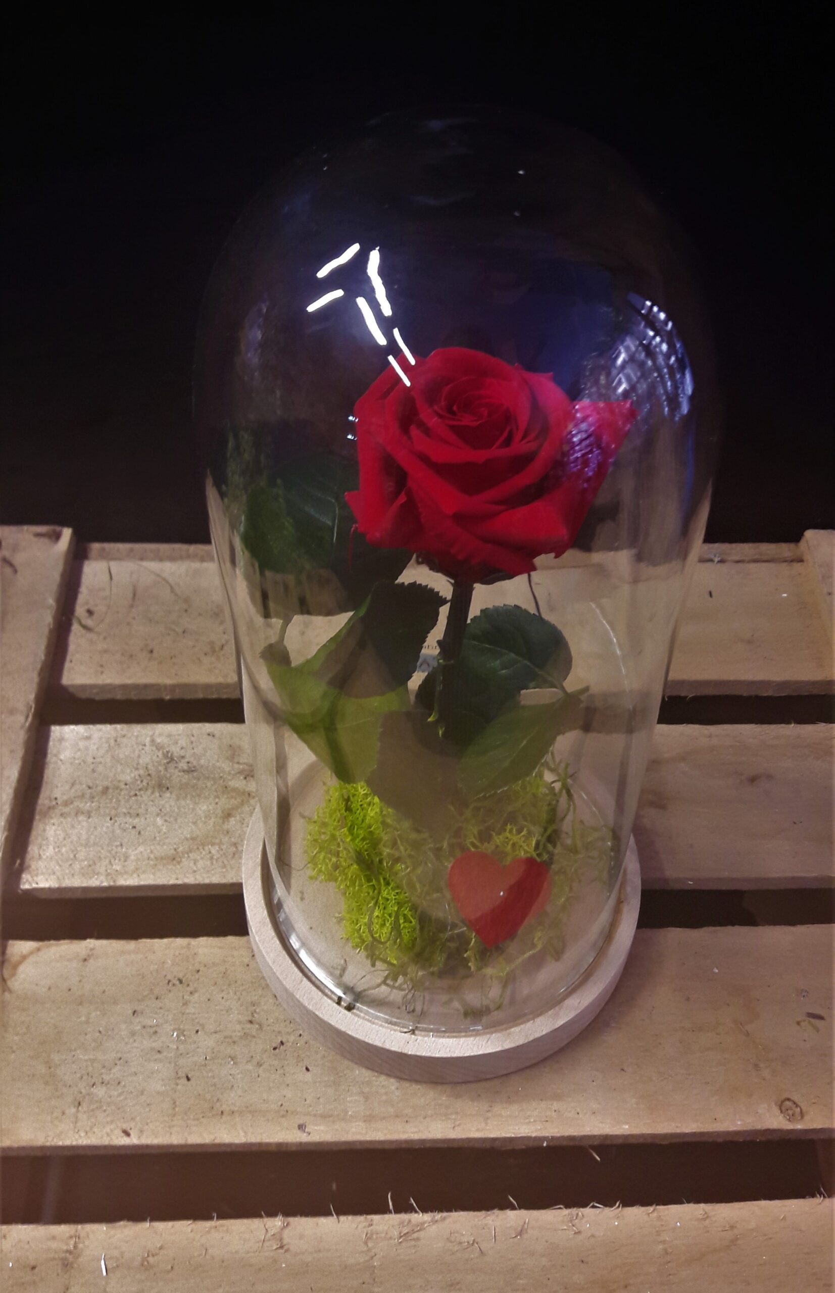 Cupula de cristal con rosa preservada